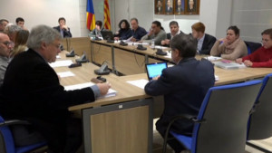Ple ordinari de febrer