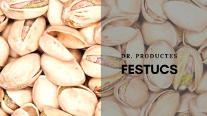 Dr. Productes - Festucs