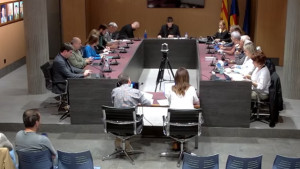 El Ple aprova el Pla Estratègic de Subvencions