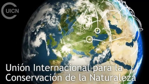 La Fundació Alive entra a formar part de la Unió Internacional per a la Conservació de la Natura. 