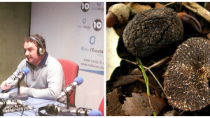 Dr. Productes - La tòfona