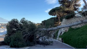 Desperfectes importants per una tramuntanada que arriba als 119Km/h