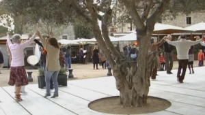 Aplec de Sant Martí
