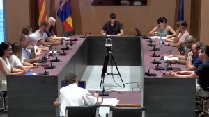 Codi ètic de conducta i bon govern