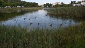 Pas important per fer públic l'estany de la Poma de l'Escala