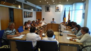 Talls de Ple 31/07/17 (I)