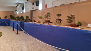 29a Exposició de Flors del CER