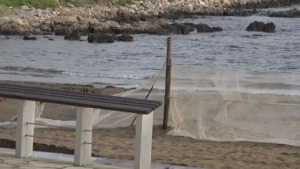 Es tornen a posar les xarxes per evitar que marxi la sorra de Riells