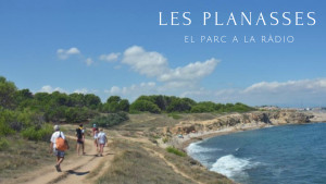 El Parc a la Ràdio - Les Planasses