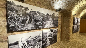 L'Alfolí estrena l'esposició La Verema dels 80