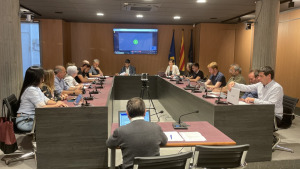 Últim ple ordinari del mandat