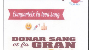 Donació de sang de primavera