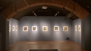 Fotografies del fons Jacques Léonard  al Reial Cercle Artístic de Barcelona