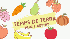 Temps de Terra - Caquis i codonys 