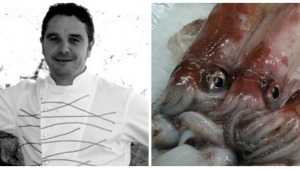 Doctor Productes-El calamar de potera