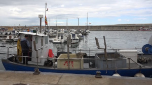 Els pescadors no són els culpables del descens de captures