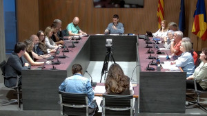 L'actuació policial durant l'acte independentista de la Diada centra els precs i preguntes del plenari