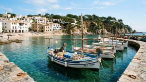 La problemàtica de la pesca a la Mediterrània s'exposa a Europa