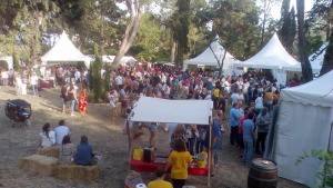 Èxit de la desena edició de la fira Arrels del vi