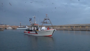 Una primavera amb poca sardina a les xarxes