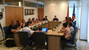 Ple ordinari de juliol
