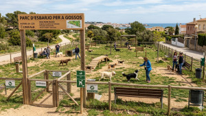 Comencen les obres del parc d'esbarjo per a gossos