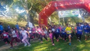 Més de 400 nens i nenes de la comarca de l'Alt Empordà participen dissabte al matí  a la cursa de Cros de l'Escala