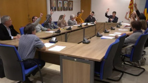 Ple ordinari de març 