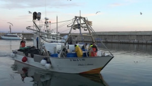Bon temps, peix, bon preu, però el gasoil molt car