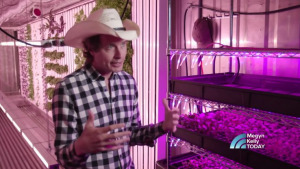 Kimbal Musk es casa dissabte a Empúries