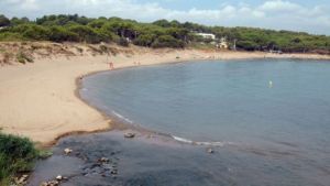 La platja del Rec de l'Escala no obté bona qualificació