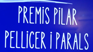 Els VI Premis Pilar Pellicer premien projectes vinculats a l'astronomia, les anxoves o els búnquers