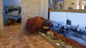 Celebració Jornades del Patrimoni a l'Escala