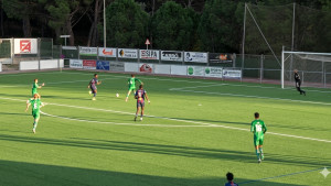 Desplaçaments a Cornellà, Alacant i Ripoll