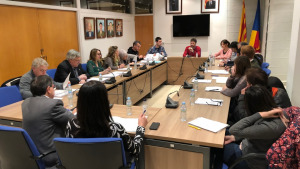 Talls de Ple - Ordinari del Febrer 2019 (II)