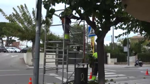 Comença la poda de l'arbrat dels carrers de l'Escala
