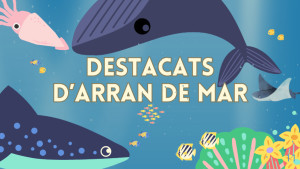 Destacats d'Arran de Mar - Tertulia de cuina de pescadors