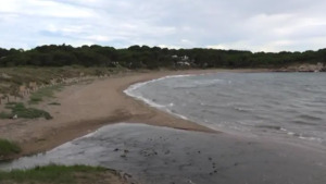L'Ajuntament considera poc creïble l'informe sobre la platja del Rec