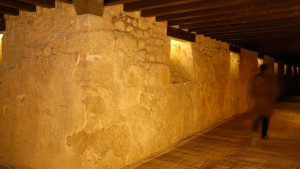 La visita Empúries i el vi tanca l'any dedicat a l'exposició sobre la vinya