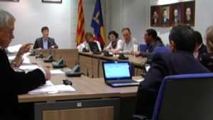 Ple Ordinari del mes de novembre (II)