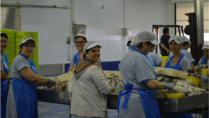 Dimarts vinent sessió de Suport a l'autoocupació de dones