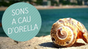 Sons A Cau d'Orella 13/01/19