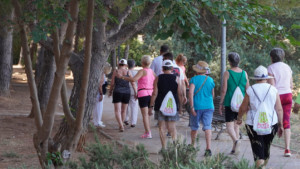 Aquest divendres la gent gran es posa en marxa
