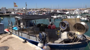 Els pescadors del peix blanc no han deixat d'anar en mar