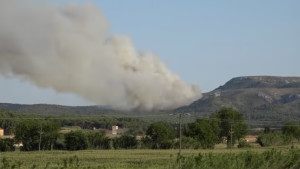 Detingut el presumpte autor dels incendis del Montgrí