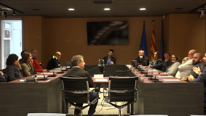 Reunió anual del Consell de Salut