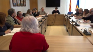 Reunió Consell de Cultura i Patrimoni