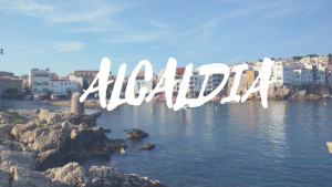 Alcaldia 21/06/17