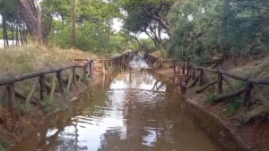 Els ruixats deixen alguns carrers inundats i activitats cancel·lades