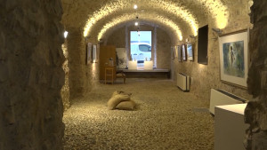 Una exposició a l'Alfolí, primer acte de la Fundació Pujolboira